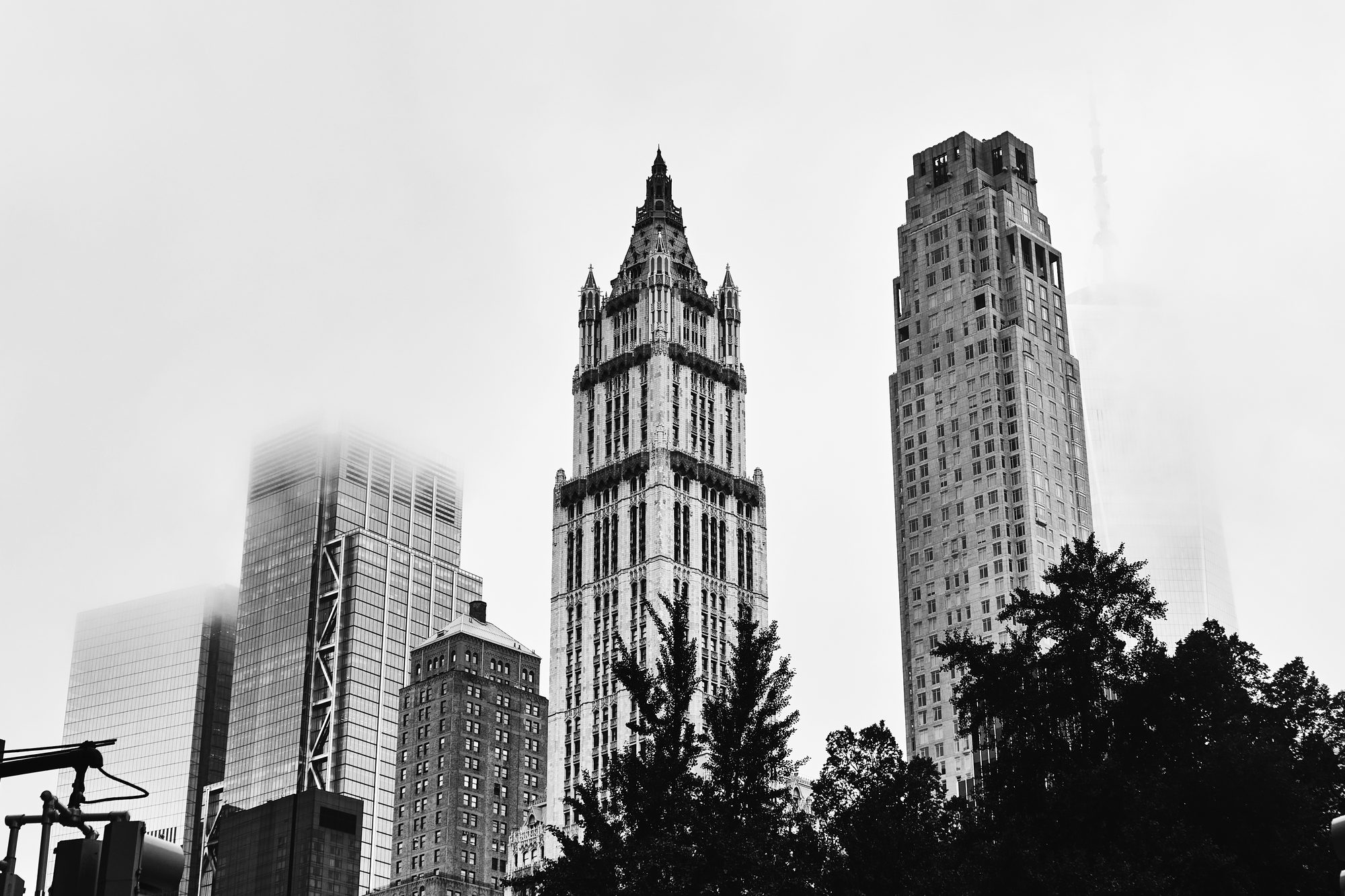 Woolworth in the Trees
